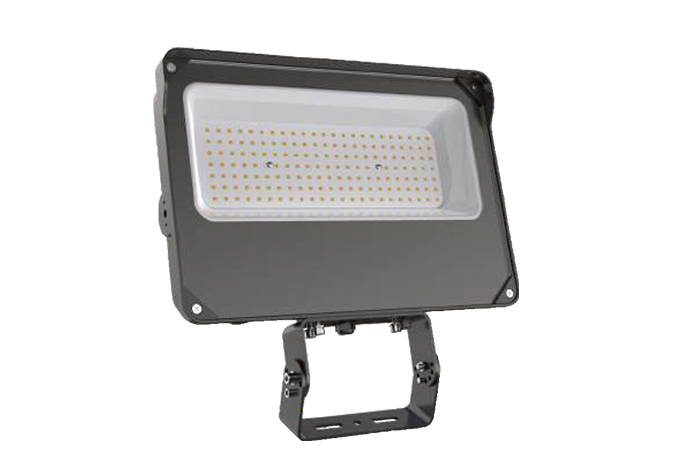 Flood Light